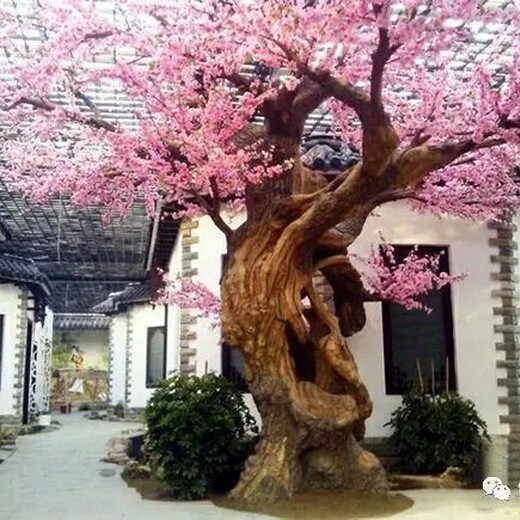張家口假樹制作廠家水泥仿真樹施工天成假樹造景工程