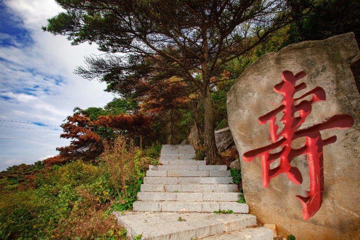 17寿33.jpg