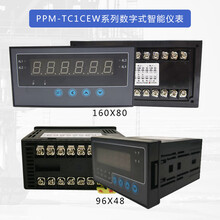 PPM-TC1CEW系列数字式智能仪表产品选型