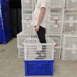 重庆塑料筐厂家批发长680宽480的耐冷冻蔬菜水果周转筐