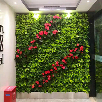 苏州植物墙绿植墙真活体植物立体绿化制作养护