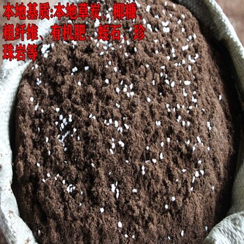 重庆营养土重庆腐殖土有机肥草炭土立体绿化土厂家价格
