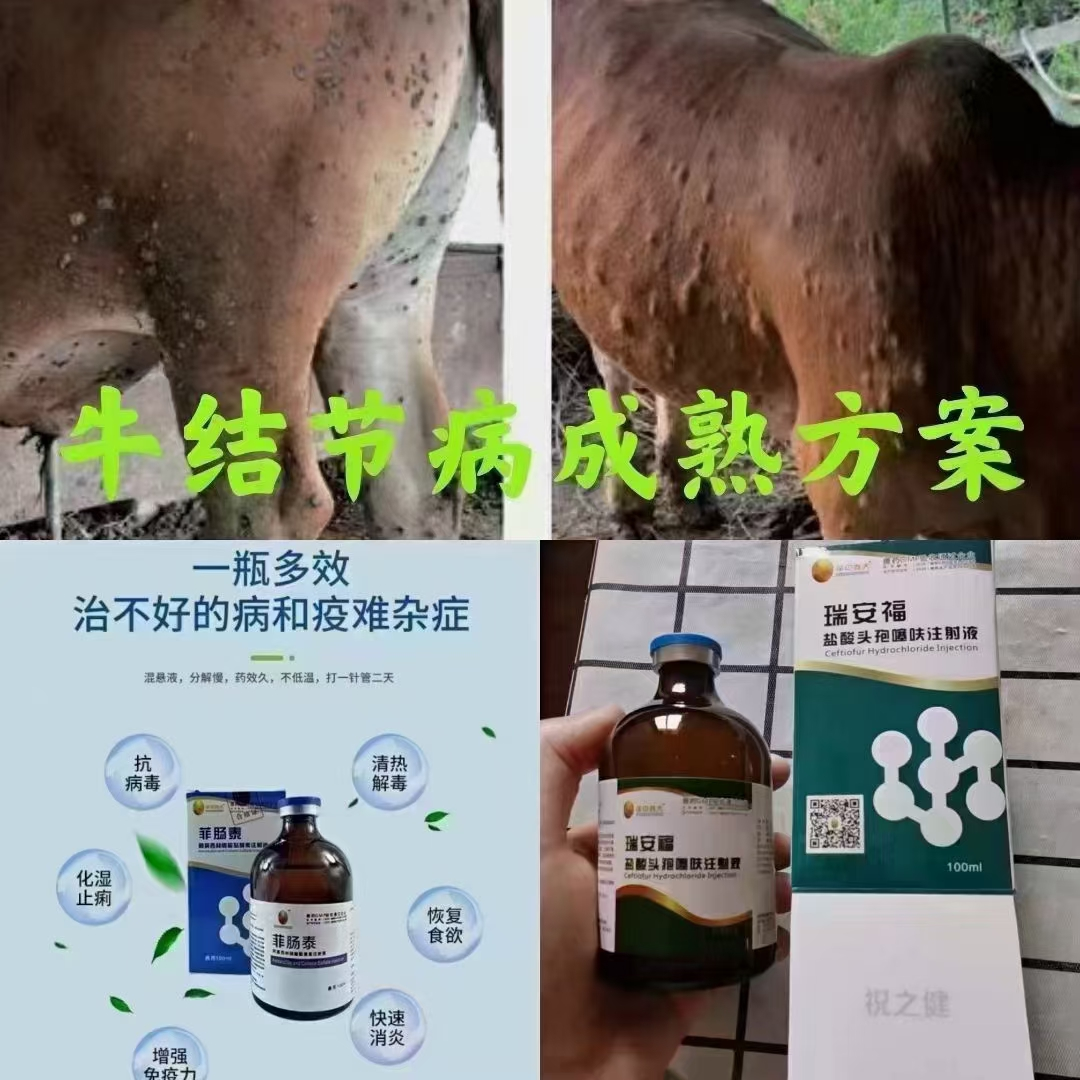 牛结节性皮肤病用什么药菲肠泰加瑞安福