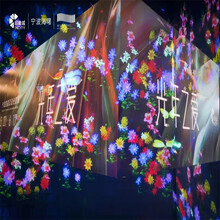 AR投影流光瀑布主题租赁互动网红打卡光影展出租搬运