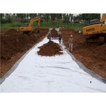 膨润土防水毯生产厂家水利工程用覆膜复合防水毯