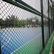 浙江宁波室内体育场围网屋顶运动场围栏操场篮球场围网厂家