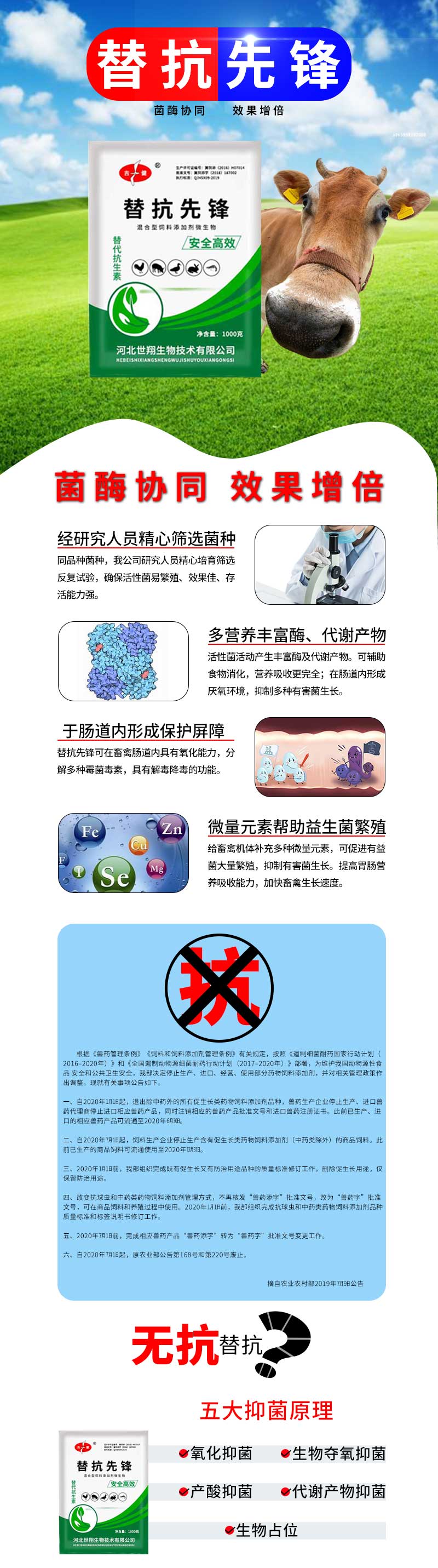 替抗详情.jpg