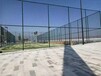广东肇庆运动场防护网绿化带隔离网羽毛球场围网