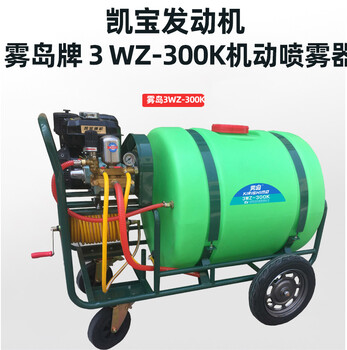 雾岛3WZ-300K手推式喷雾器消杀凯宝170四冲程机动喷雾机