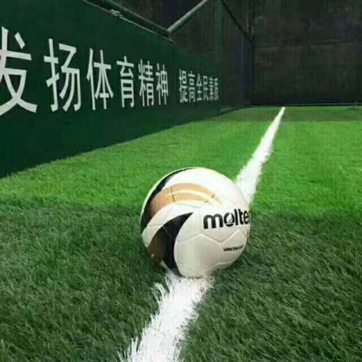 四川成都学校足球场人造草坪批发厂家