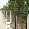 四川銷售鐵路護欄網鐵路包塑刺繩隔離網鐵路隔離柵欄
