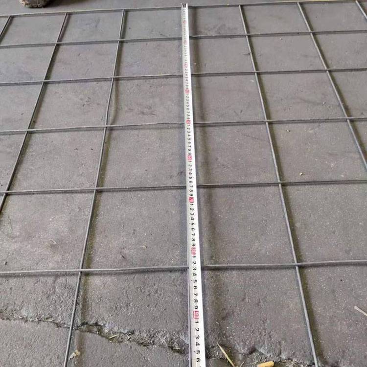 337.jpg