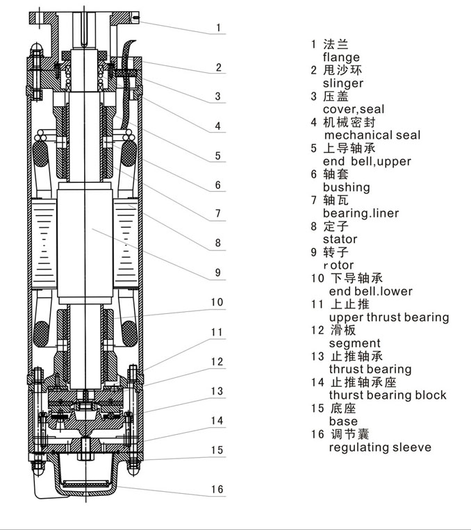 潜水电机结构图.jpg