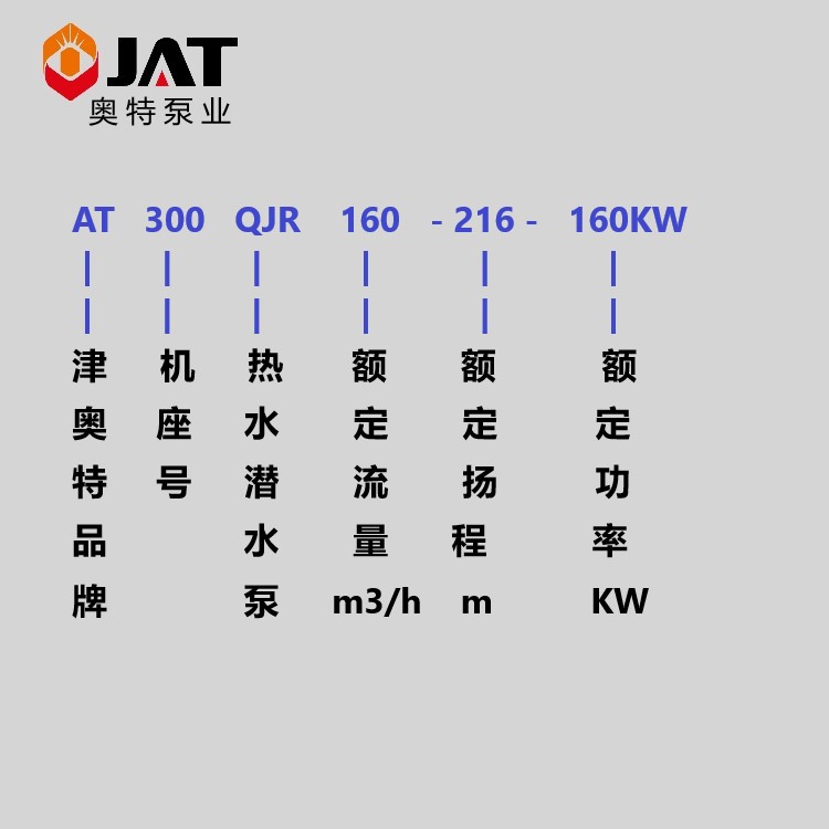 AT300QJR规格型号说明.jpg