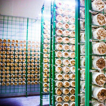 香菇棚架子杏鲍菇菌种网格大棚层架香菇出菇棚架