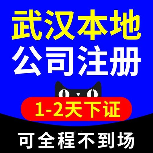 江岸区公司注册（小规模+一般纳税人）