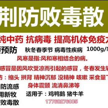 鸡风寒感冒用什么药鸡感冒怎么治疗鸡感冒的症状及用药