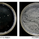 廠家提供陶瓷抗菌劑松花陶瓷粉體抗菌劑耐高溫不流失抗菌劑