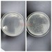 无机陶瓷抗菌剂硅胶抗菌剂陶瓷卫浴银离子耐高温粉体材料