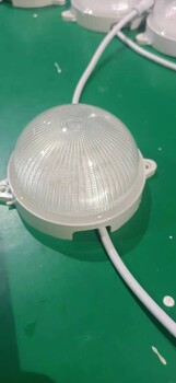 戶外亮化工程圓100大LED點(diǎn)光源