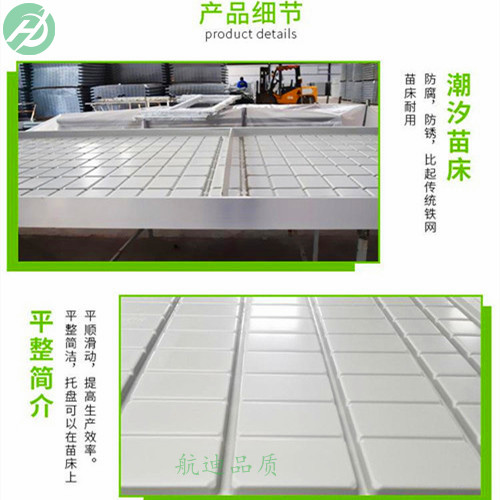 潮汐苗床 (95).jpg