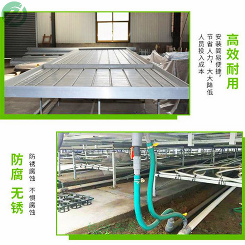 潮汐苗床 (96).jpg