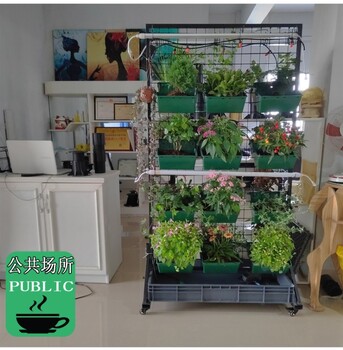 室內(nèi)綠植系統(tǒng)廠家