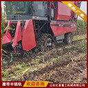 履帶式三角半鏈軌適用于泥濘靠洼地作業(yè)防陷效果好