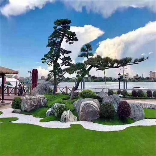 泰山石48.jpg