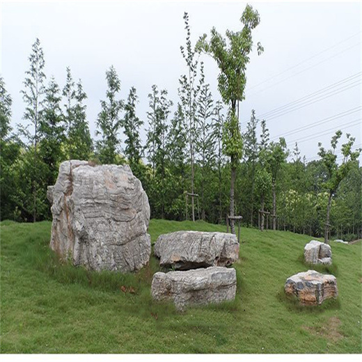 草03.jpg
