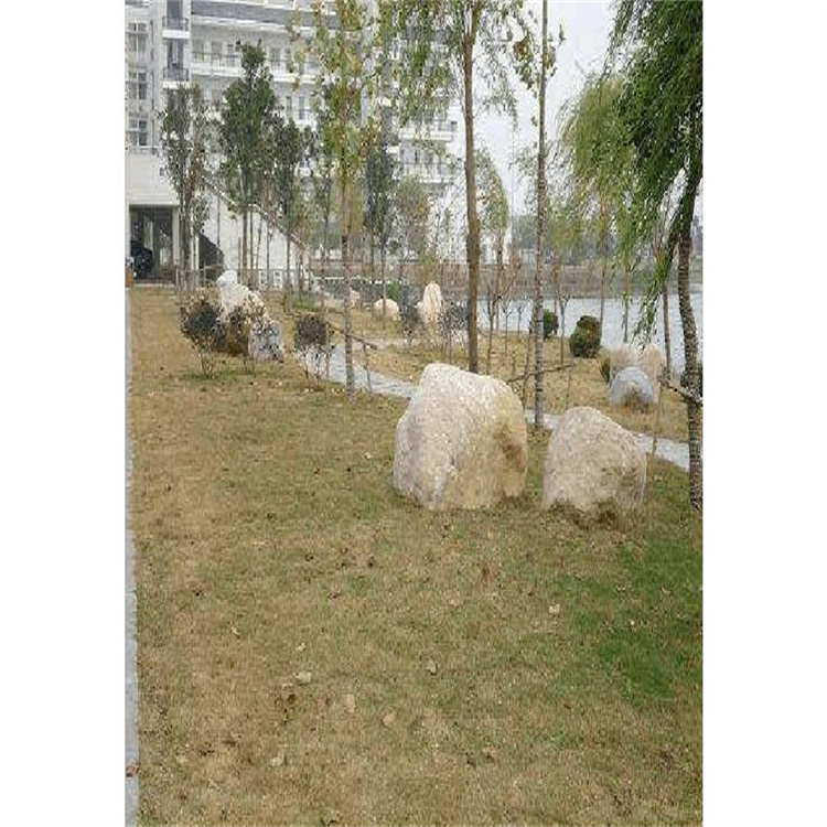草05.jpg
