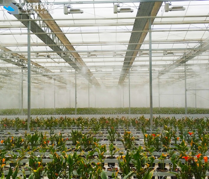 内蒙古智能温室蔬菜大棚喷雾加湿加药系统就选锦胜雾森