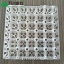 塑料雞蛋盤新款塑料蛋托雞塑料蛋托