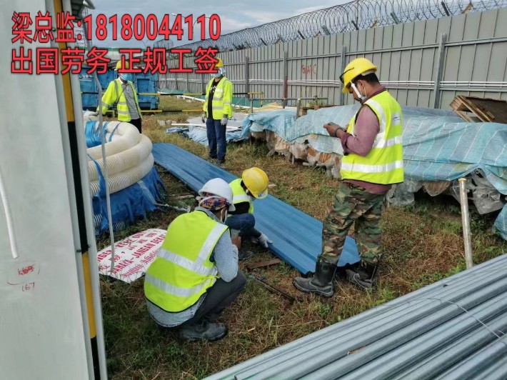 青島出國勞務男女不限招采摘工、包裝工月薪3.2萬