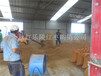 饲料枣粉加工厂直供现货量大直发牲畜用枣粉
