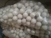 白银：橡胶球厂家-振动筛配件-橡胶球-硅胶球-振动筛-浩然振动筛