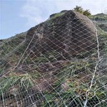 陕西安康山体护坡网GPS2主动防护网防滑坡落石网边坡柔性防护网