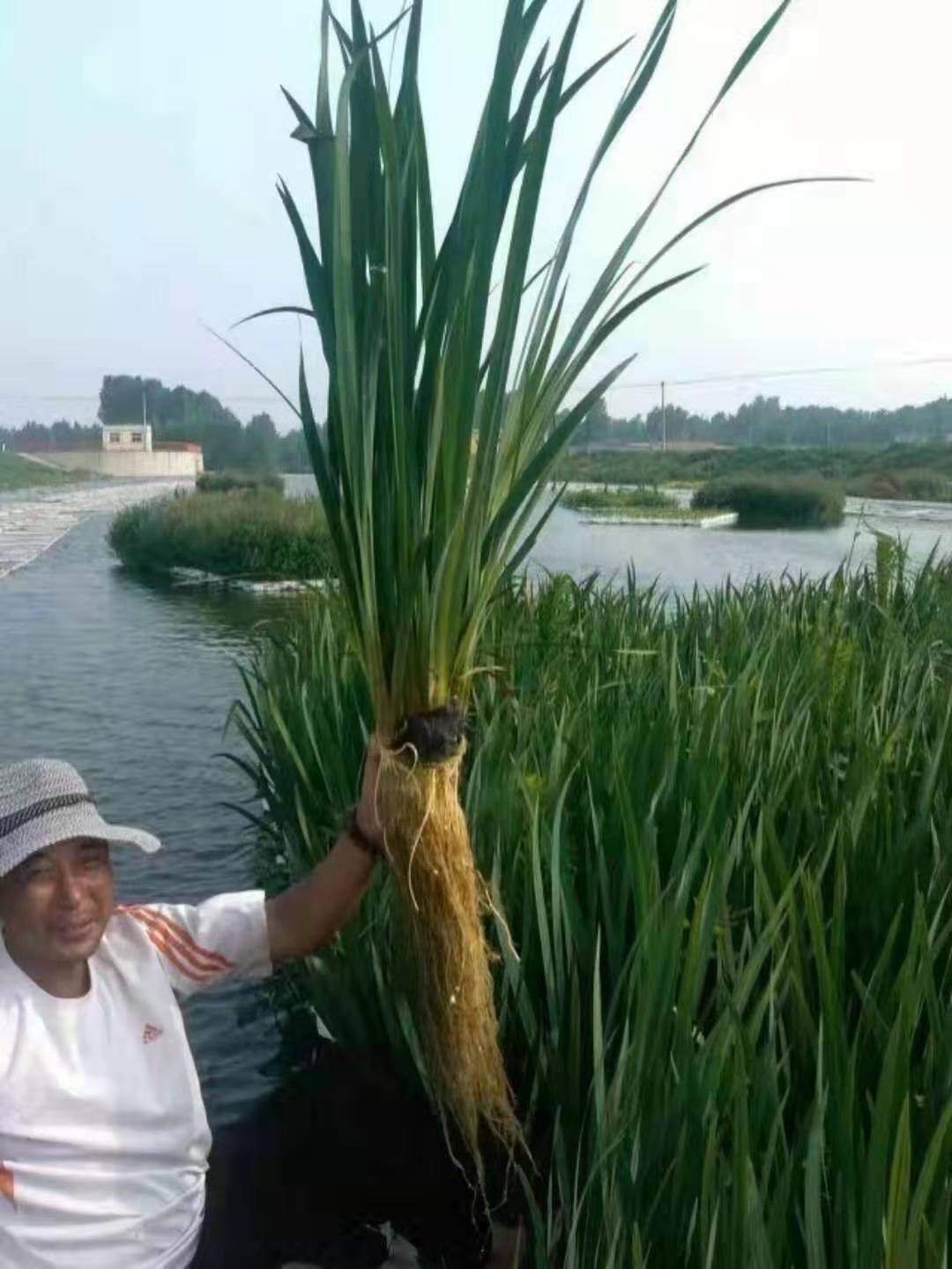 圖片_25.jpg