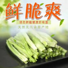 农副产品义门贡菜响菜苔干图片