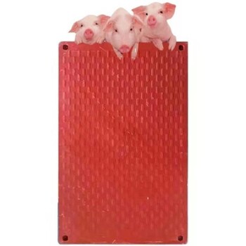 碳纤维电热板猪床电热板均匀发热