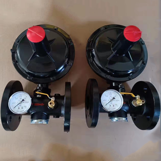 工业可调试燃气调压器减压阀天然气稳压燃烧机锅炉用RTZ液化气图片4