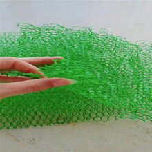 三维植被网边坡防护土工网垫EM3护坡植草毯绿色三维网