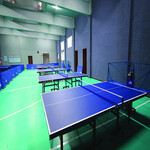乒乓球室地板移动式羽毛球地板