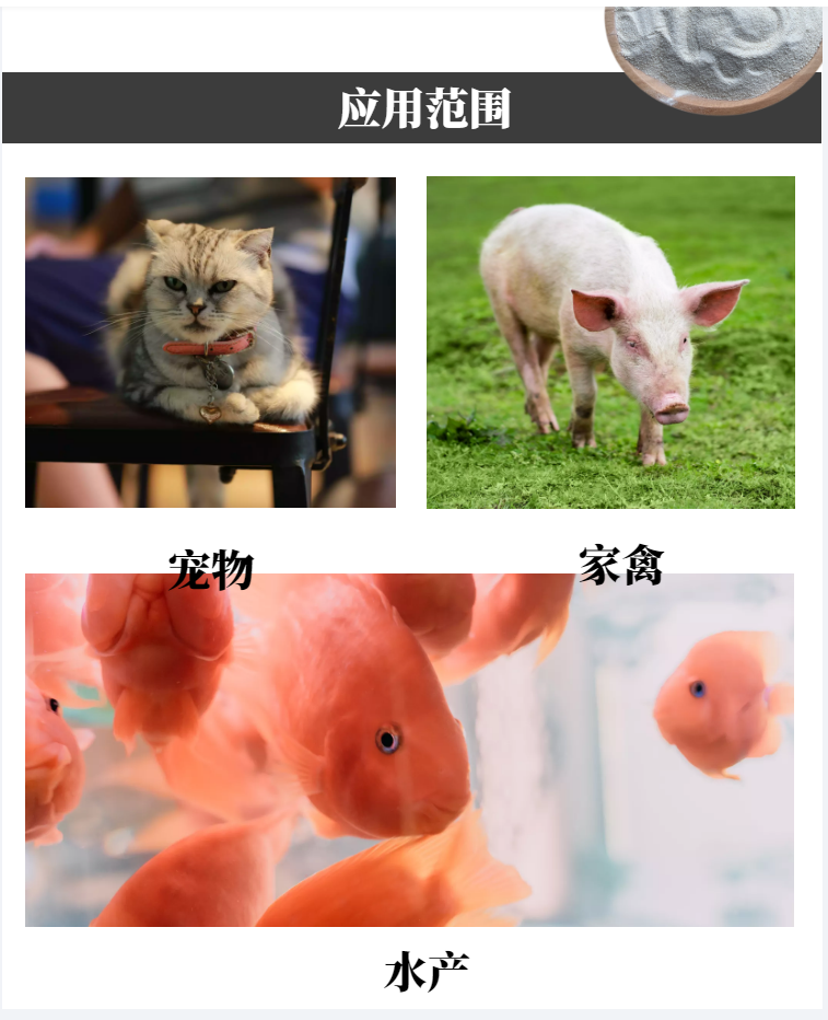 大米詳情5.png