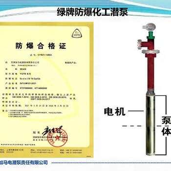 天津绿牌不锈钢液下泵零区防爆化工潜泵Ga等级