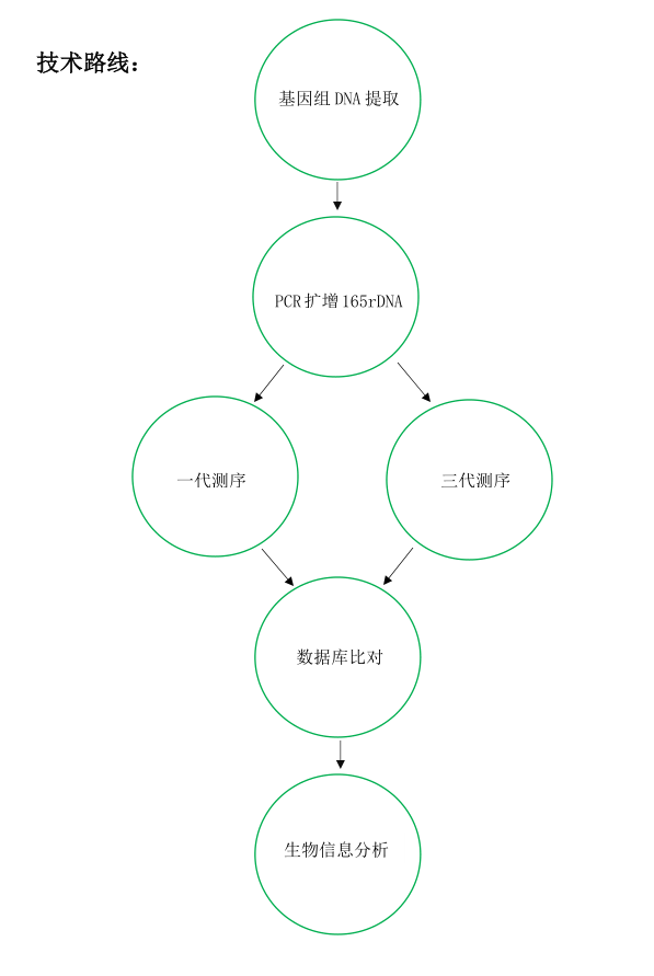 菌種鑒定技術(shù)流程.png