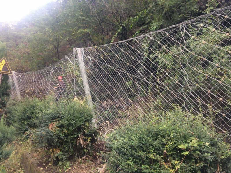 菱形網 (65).jpg