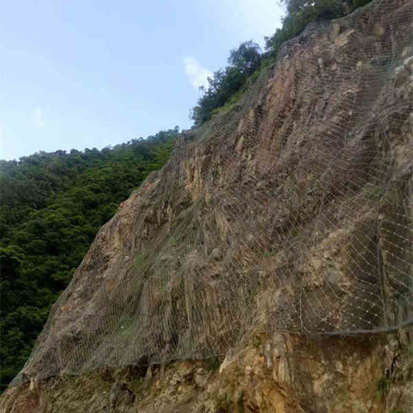 主動(dòng)網(wǎng)（307）.jpg