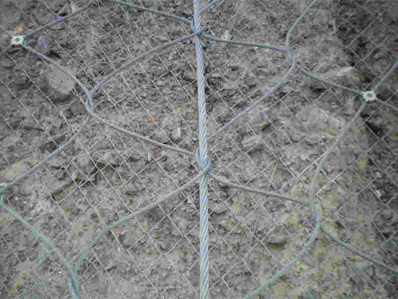 主動網 (11).jpg