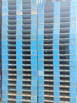 福州木托盘回收出售二手木栈板防潮仓储叉车吹塑塑料托盘塑胶卡板